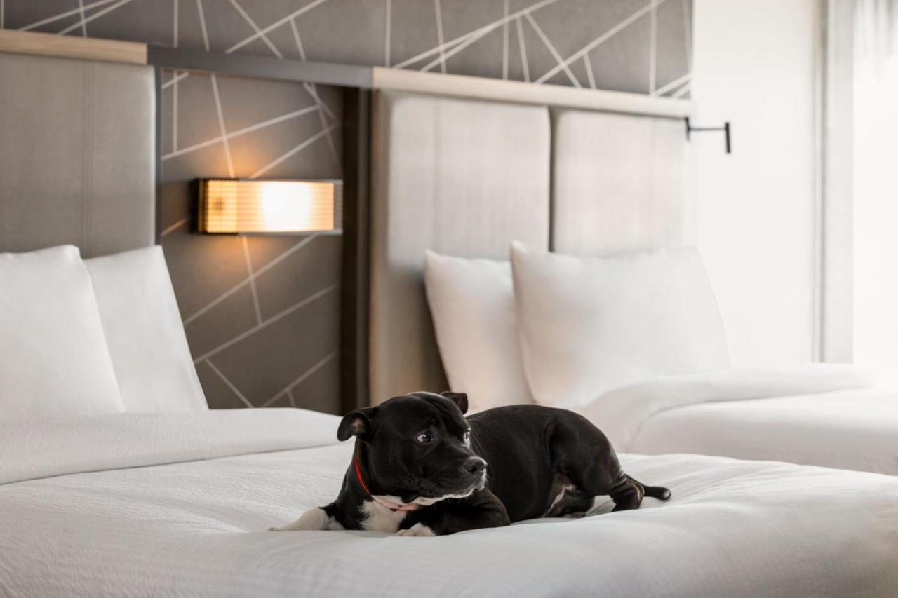 Springhill Suites By Marriott Camp Hill 외부 사진